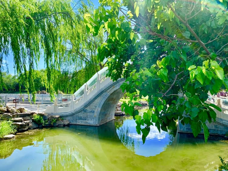 2019-6-13-clickhouse-meetup-in-beijing.jpeg