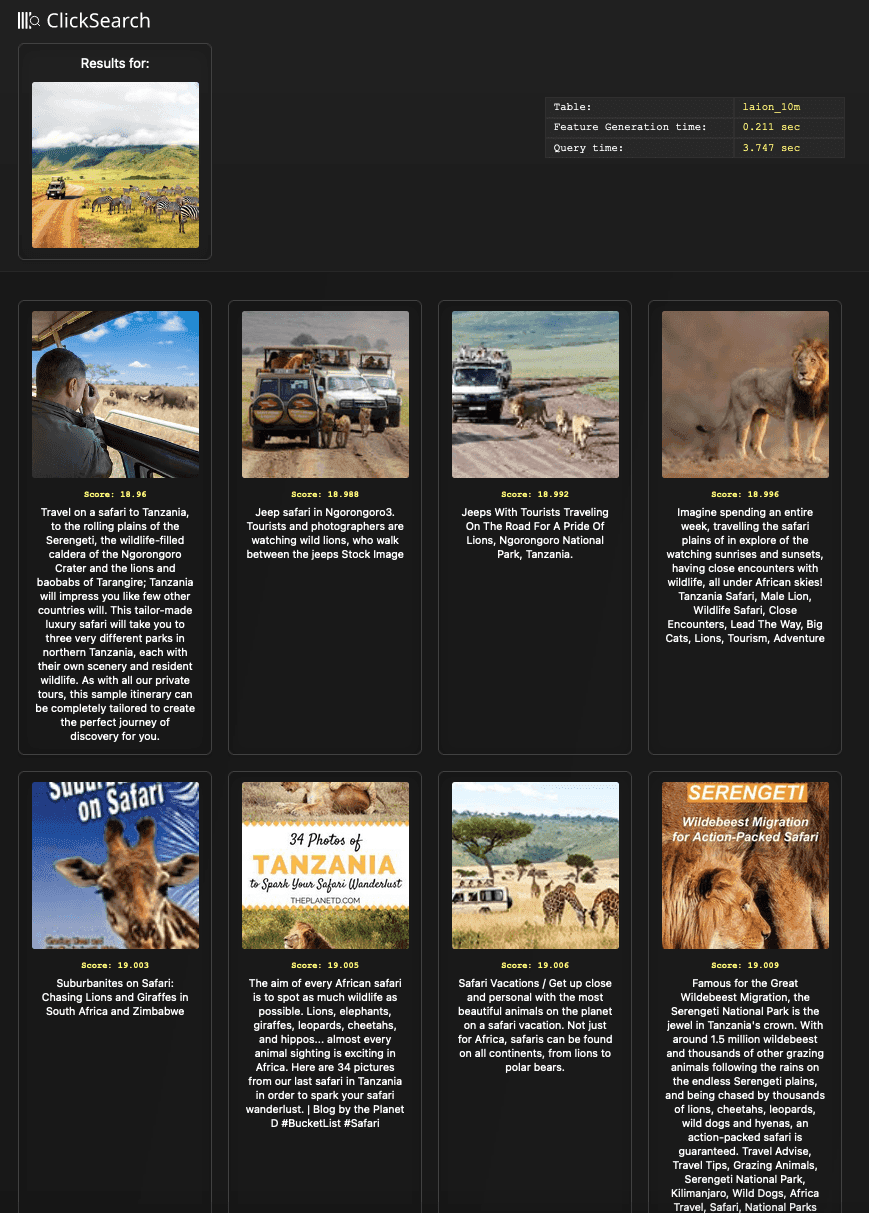 lion_safari.png