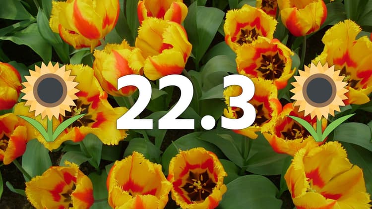 march-origcolor.jpg