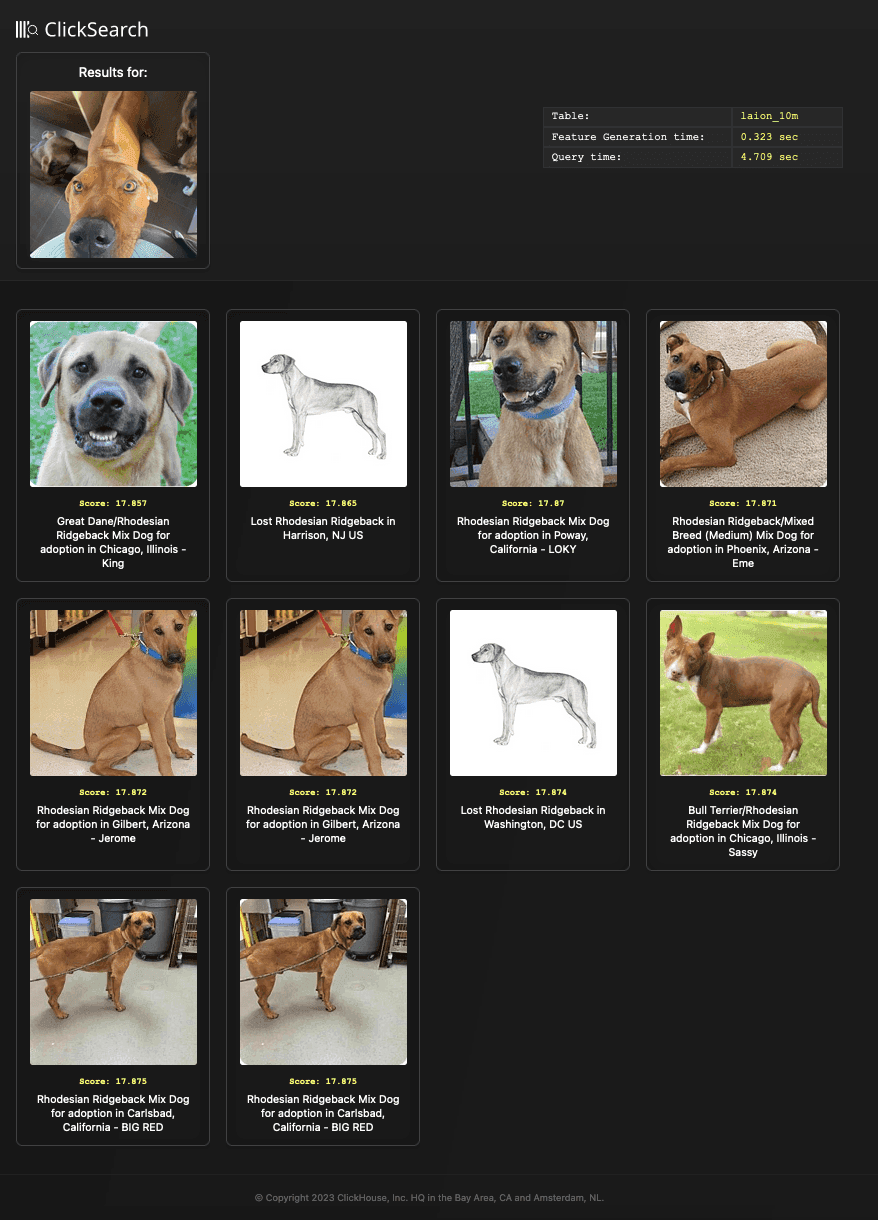 ridgebacks.png