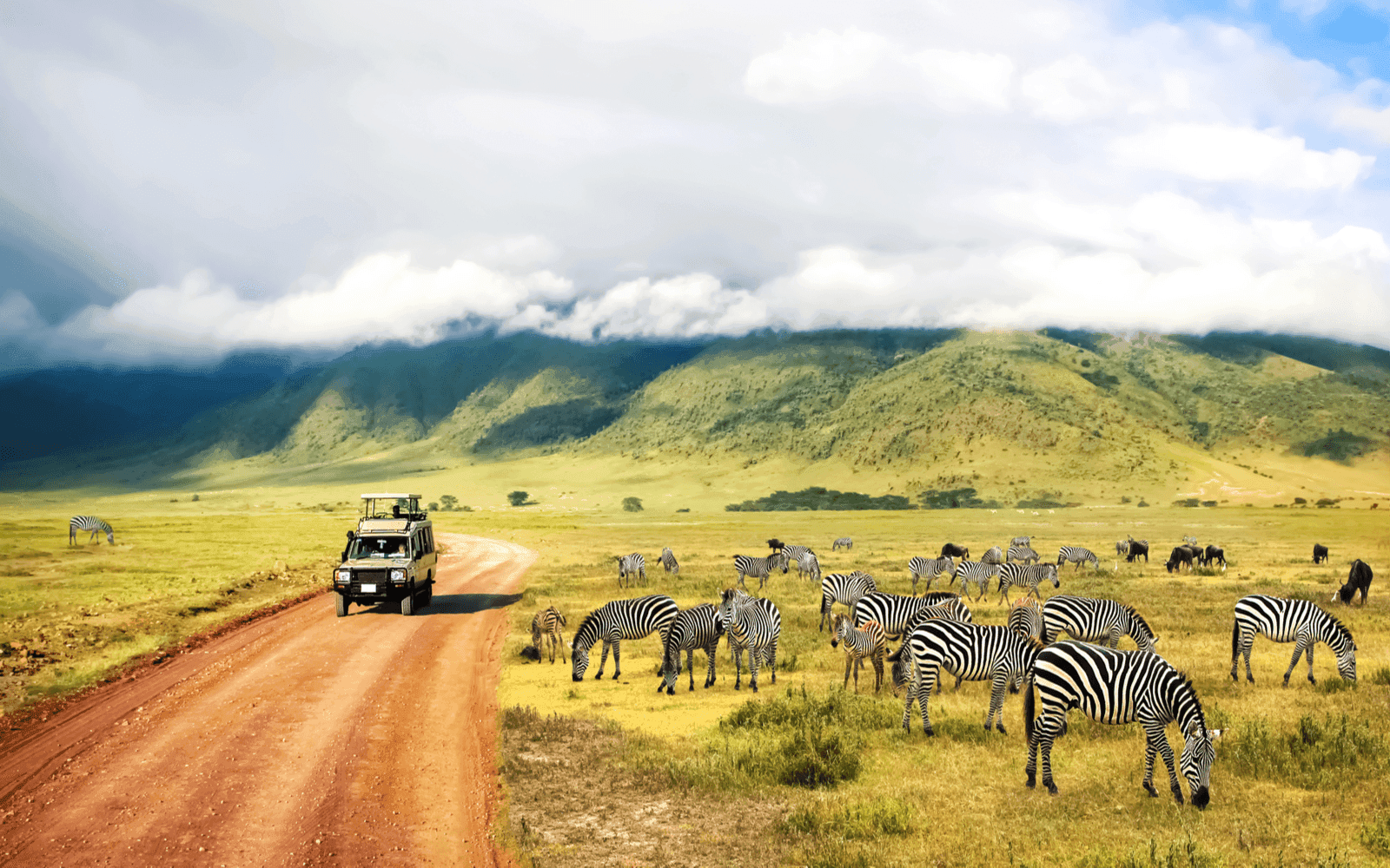 safari.png