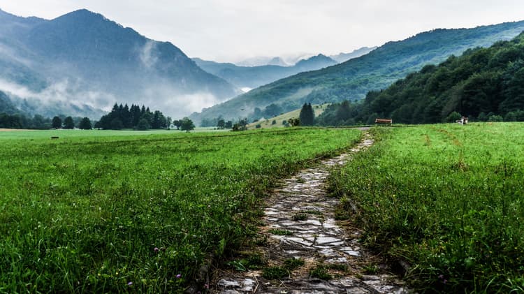 paths